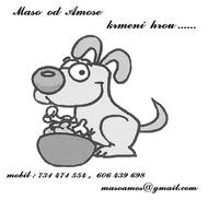 Maso-od-Amose